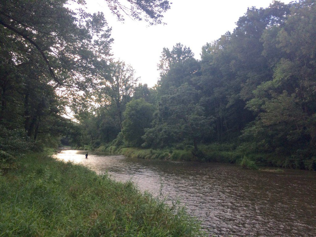 evening on the lower river