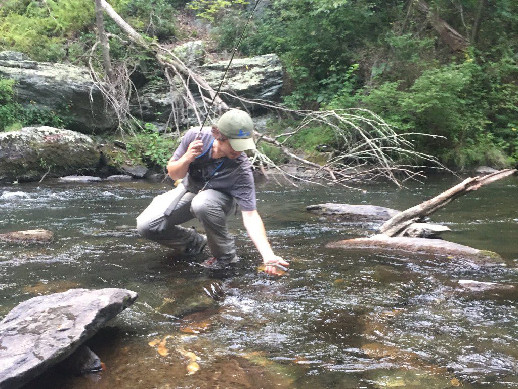 genewithyugefishlandscape