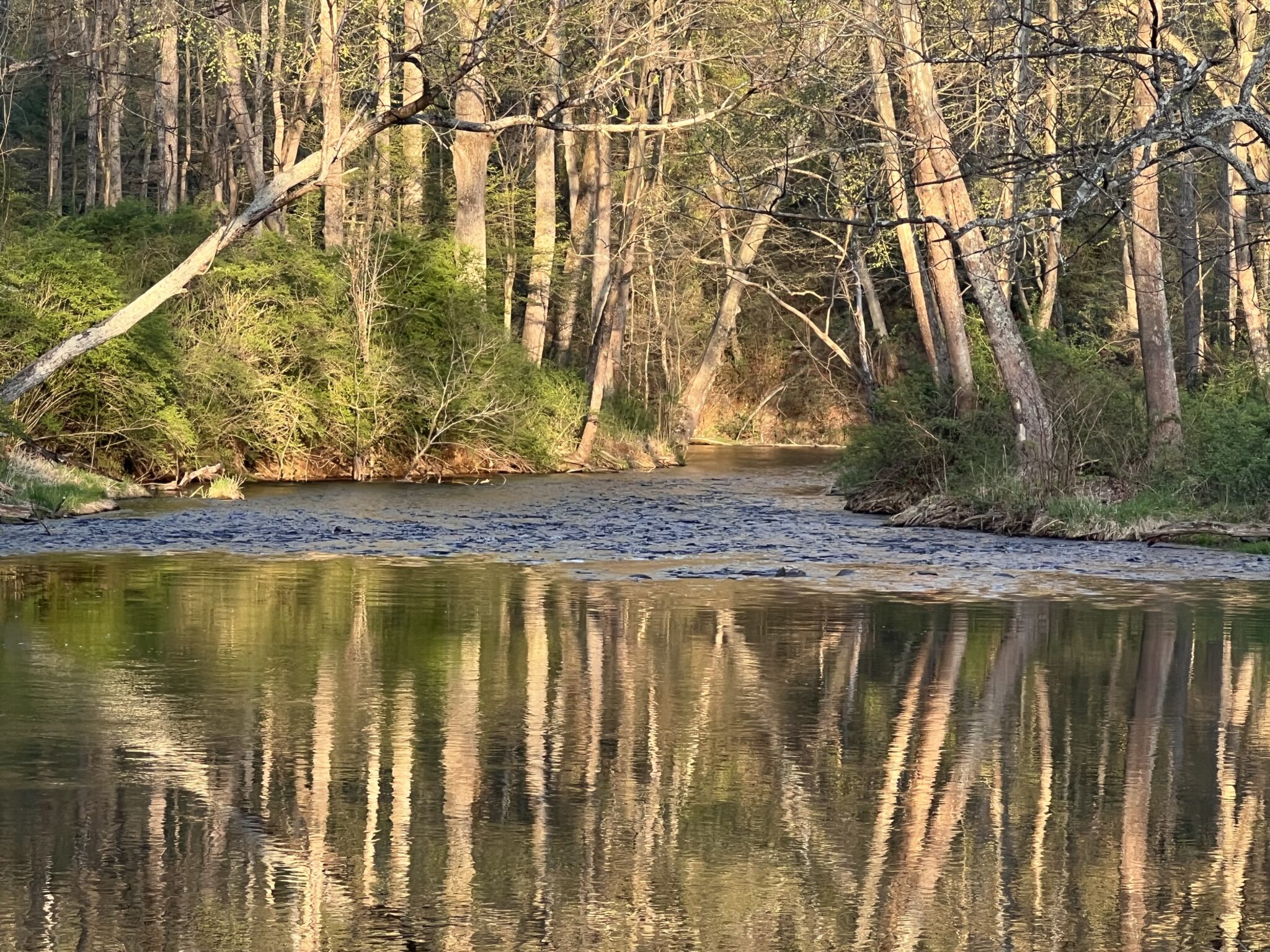 Gunpowder River Stream Report - BACKWATER ANGLER