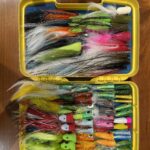 Saltwater fly Assortment